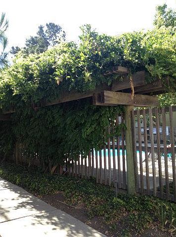 1st image of 980 Kiely Blvd Unit 309