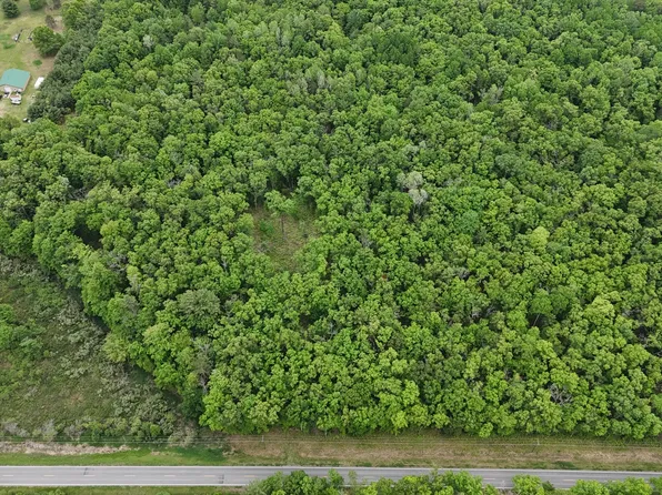 Coates Hwy, Brethren, MI 49619