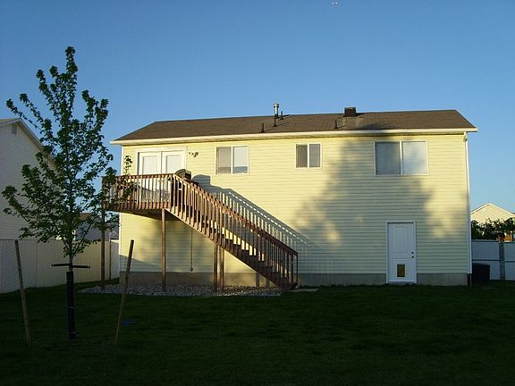 From back of yard(new tree)