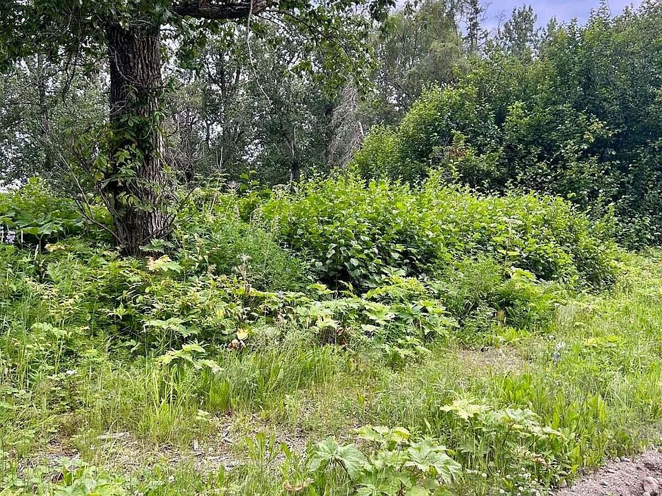 2nd image of 52150 Wik Rd