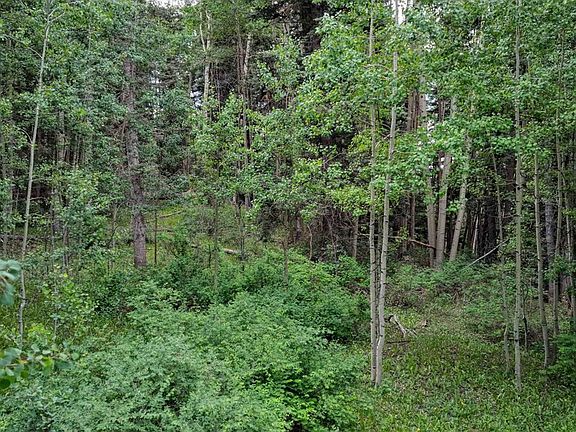 5th image of 4556 Middle Mountain Road