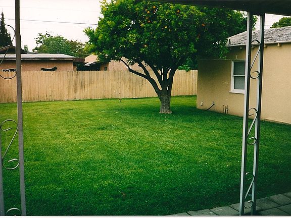 Huge Backyard