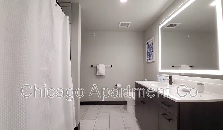 177 N Ada St #420 — Photo 8