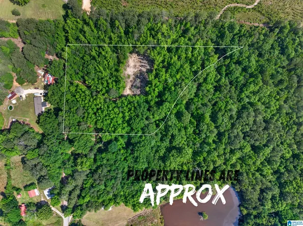 0 Pruitt Rd #0, Piedmont, AL 36272