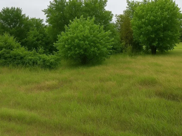 382 Private Road 4437, Rhome, TX 76078