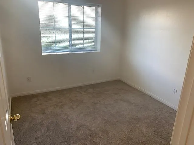 3663 Pine Meadow Dr — Photo 16