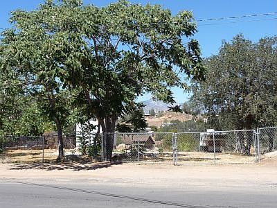 Shot from Across the Street