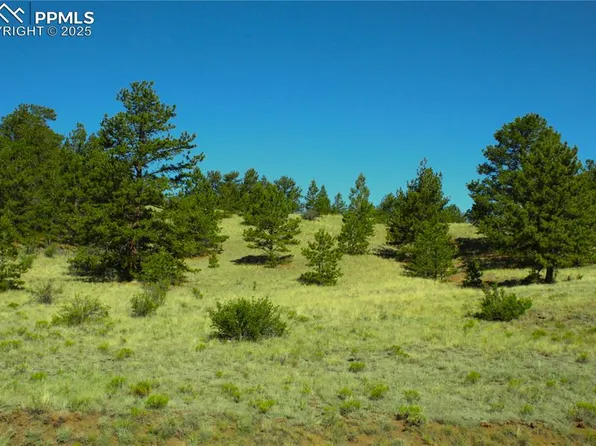Hill Rd, Hartsel, CO 80449