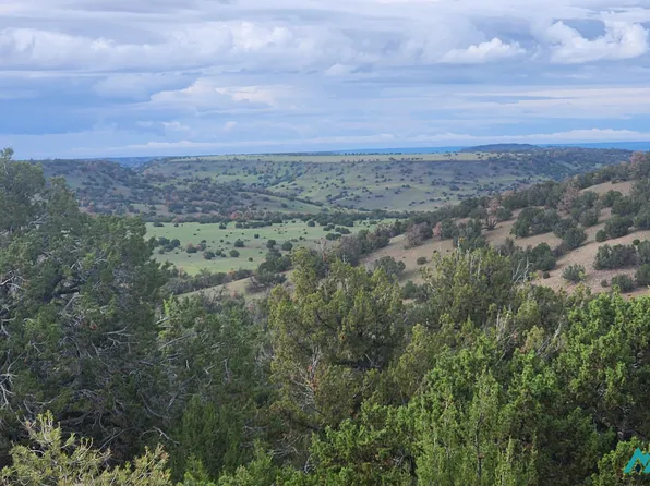 21 Wagon Cir #62, Quemado, NM 87829