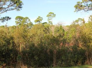 1408 S Olsen Rd, Avon Park, FL 33825