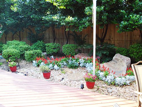 Backyard flowers