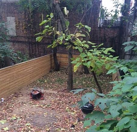 yard1