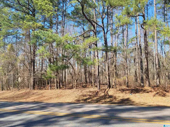 40 Stillwaters Dr, Dadeville, AL 36853