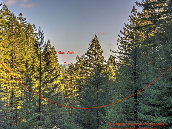 4th image of 35084 Forest Ct
