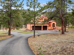 248 Pine Forest Rd, Lake George, CO 80827