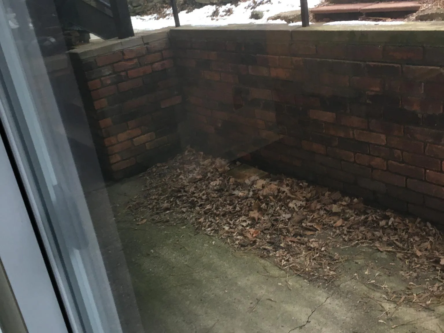 2 bed, 700 sqft, $1,650 — Photo 3