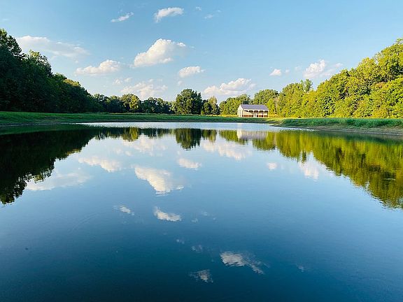 View from rear french doors.