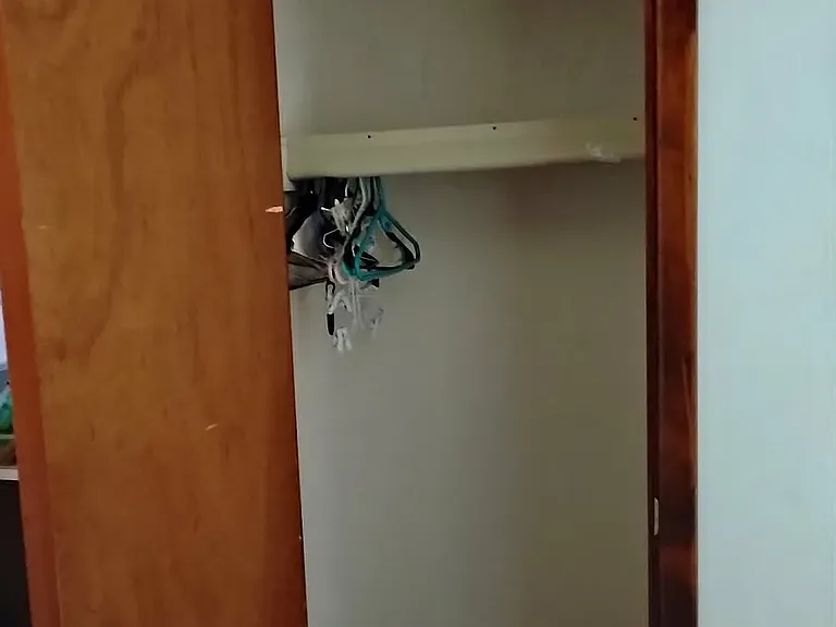 Upstairs coat closet