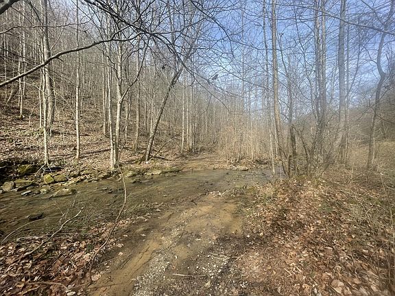 2nd image of 9999 Trace Branch Rd