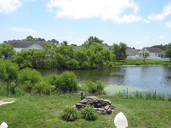 Pond view from rear deck 2