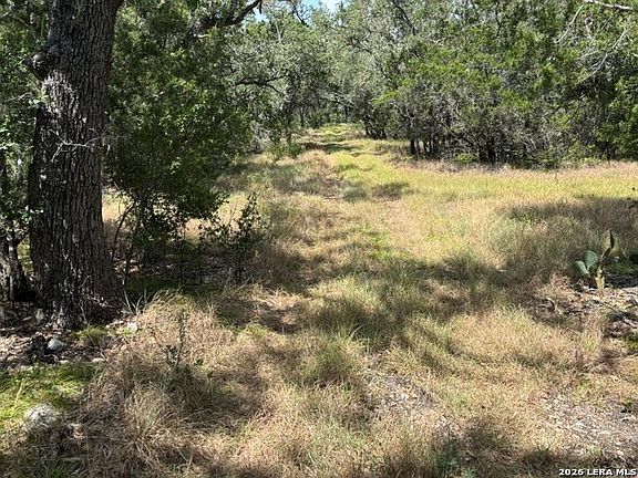 2nd image of LOT 37 Pr 2532 LOT 37