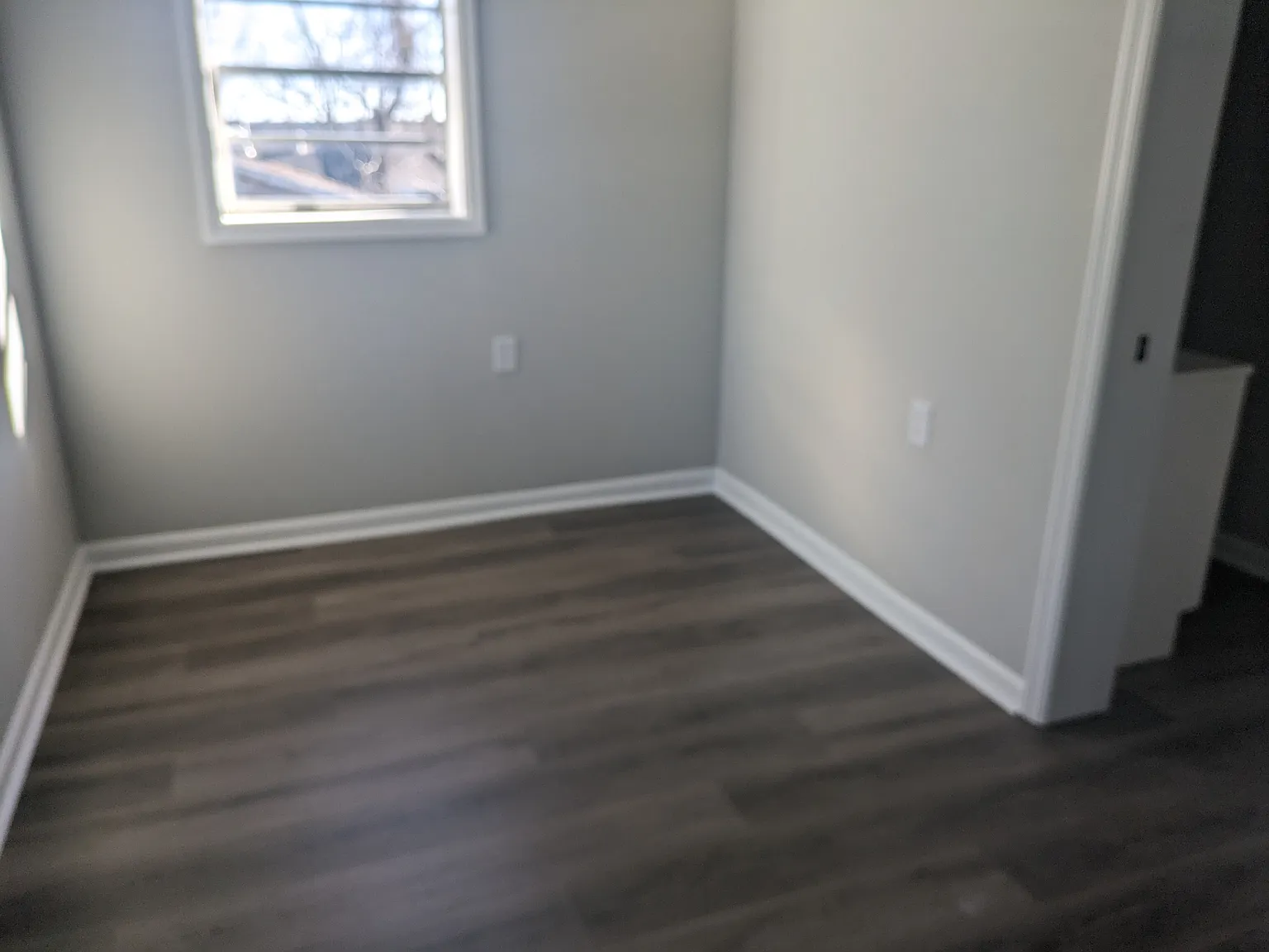 2 bed, 550 sqft, $1,450 — Photo 4