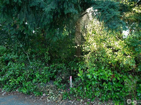 3rd image of 1111 1st Avenue NE