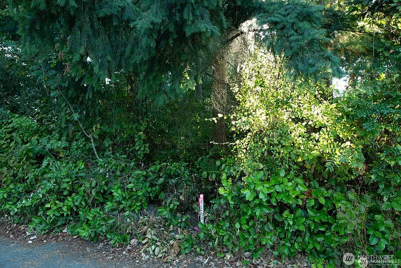 3rd image of 1111 1st Avenue NE