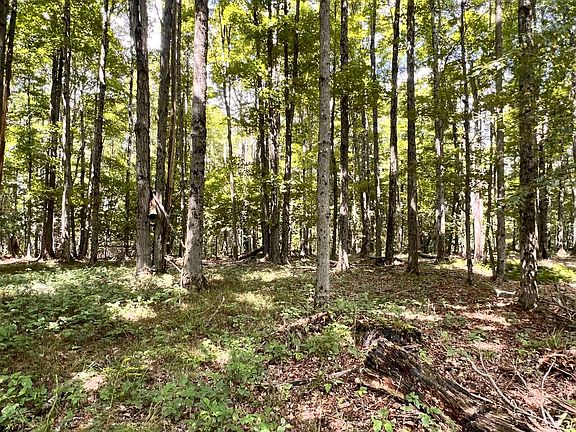 3rd image of 1573 White Knoll Rd