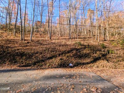 LOT 1273 Raymond Hollow Rd, Sevierville, TN, 37876
