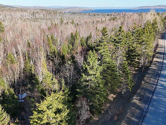 4th image of Scotsville Rd
