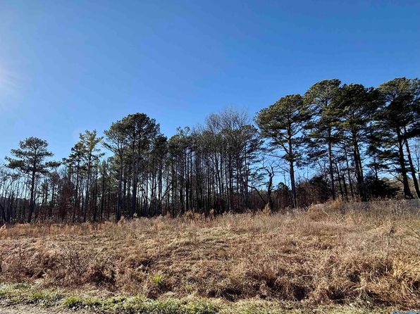 LOT 24 Chambers Rd, Arab, AL 35016