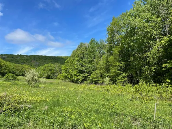 0 Dennis Hill Rd, Ulysses, PA 16948