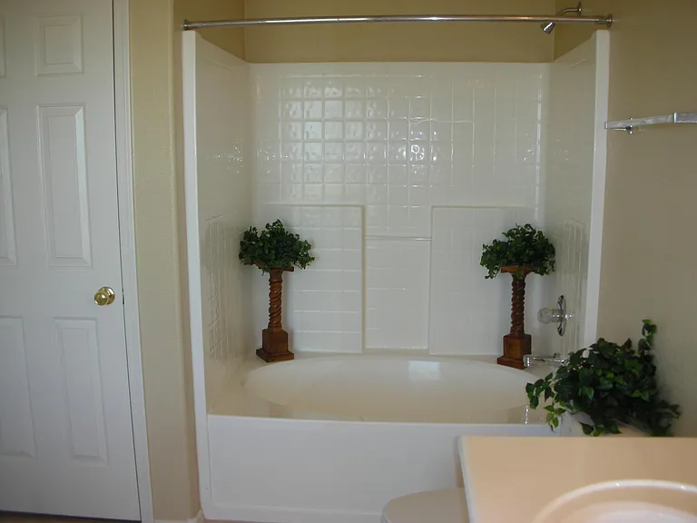 Master Bath - Shower and tub