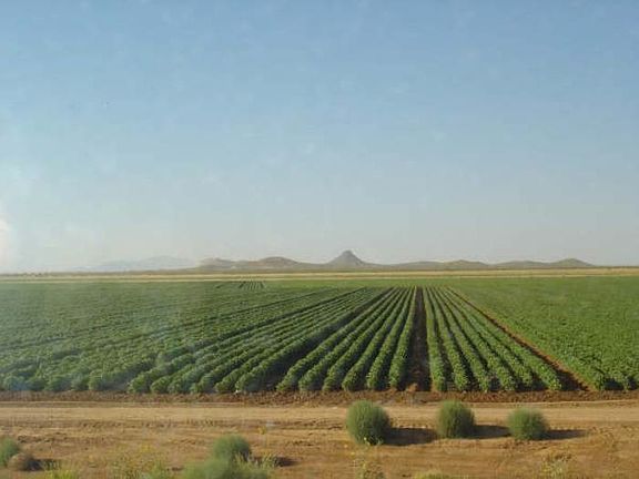 View from rear of home