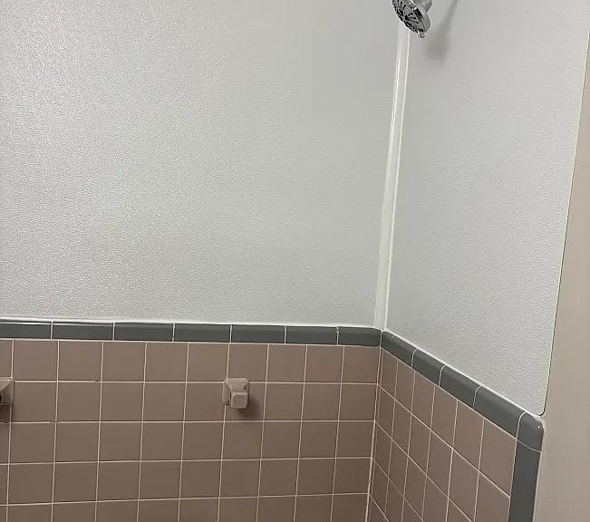 Master Shower