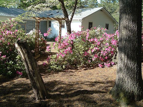 Inside the secluded garden