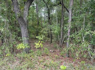 Township Road 2 Hampton Rd, Conway, SC 29527