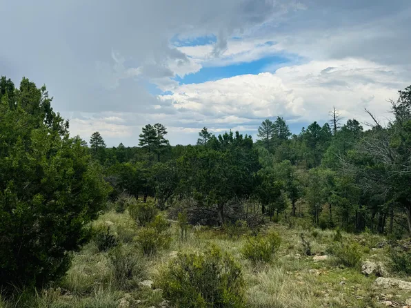 3603 Sunset Ridge Loop, Happy Jack, AZ 86024