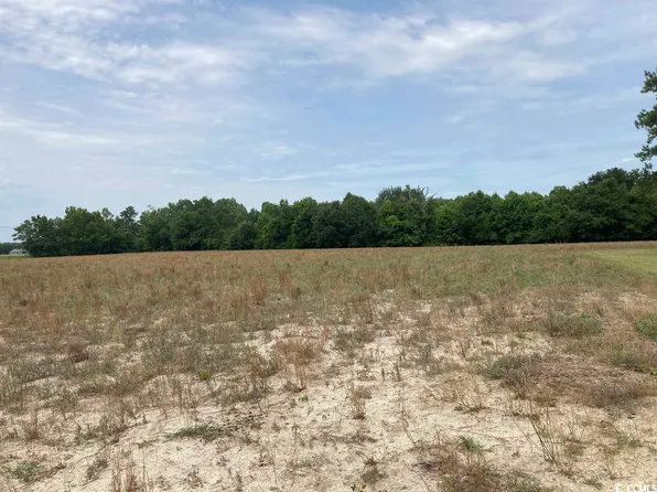 Lot 3 Durant Cemetary Rd., Johnsonville, SC 29555