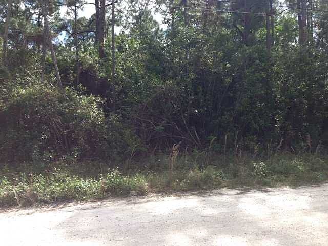 2nd image of 16402 90th St N