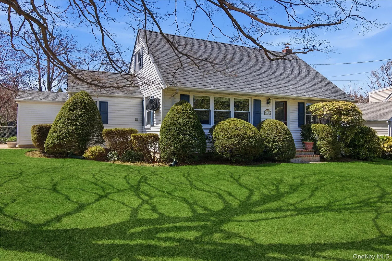 50 Cornell Street photo 1