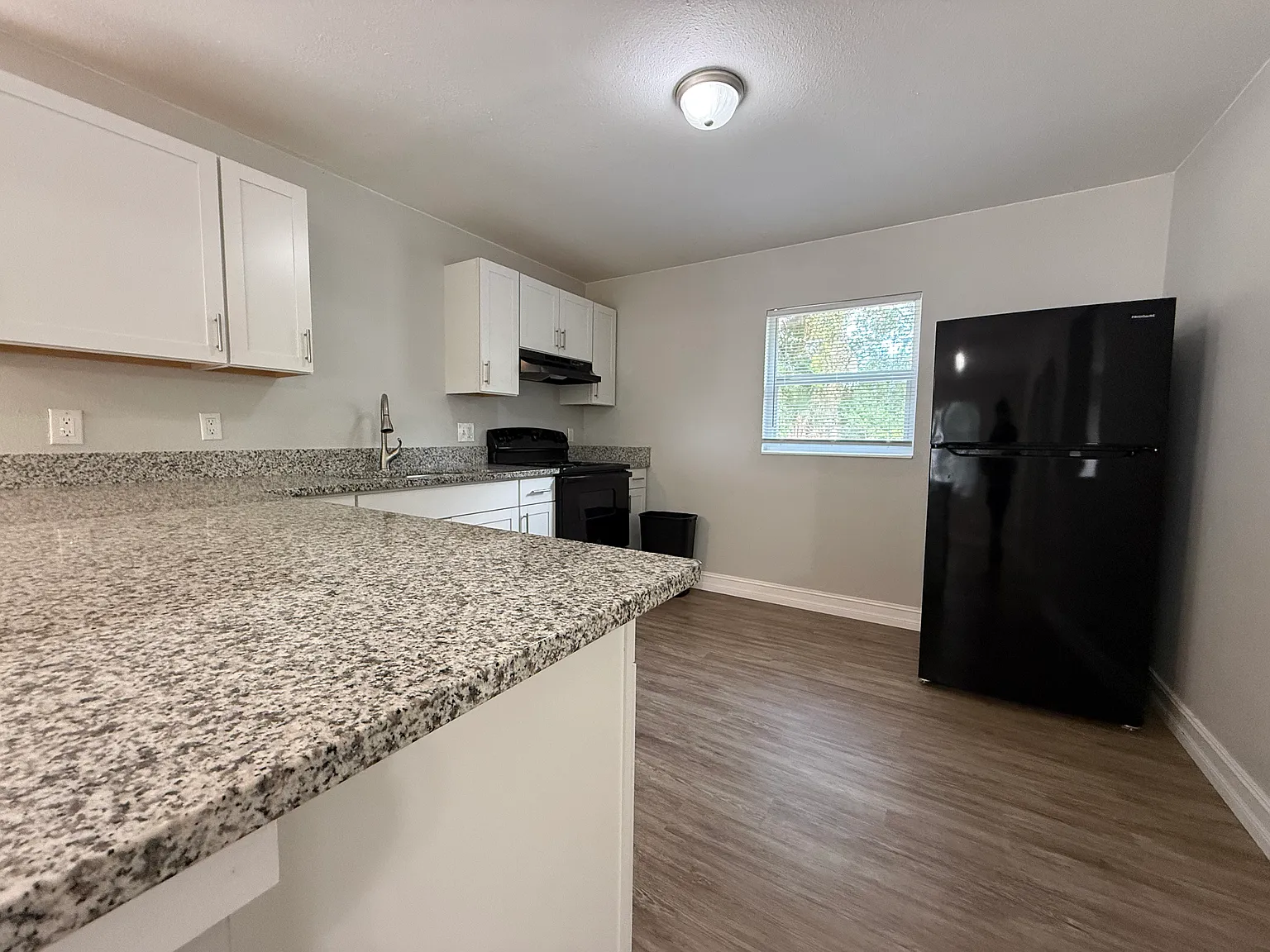 2 bed, 972 sqft, $1,600 — Photo 4