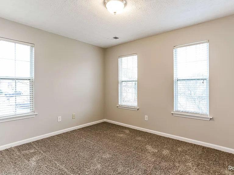 4180 Lotus Blossom Ct — Photo 11