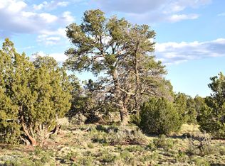 3391 E Indian Meadows Rd #44, Williams, AZ 86046