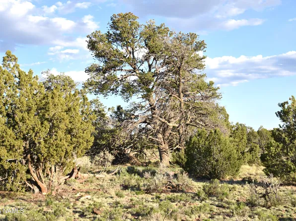 3391 E Indian Meadows Rd #44, Williams, AZ 86046