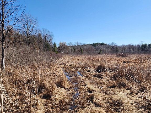 3rd image of 12 Mile Rd