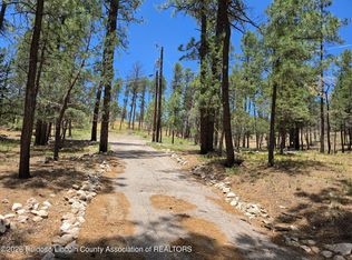 209 Lake Shore Dr Lot 4, Alto, NM 88312