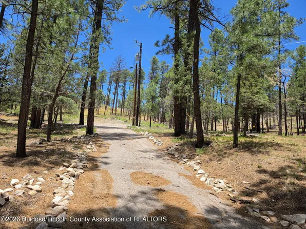 209 Lake Shore Dr Lot 4, Alto, NM 88312