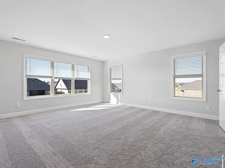 142 Ivy Vine Dr — Photo 16